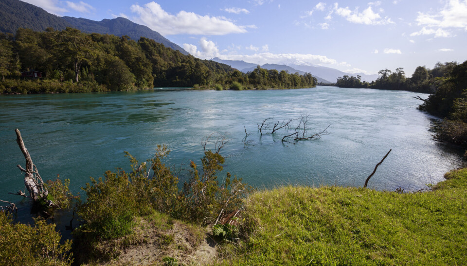 Río Puelo. Río Puelo.
