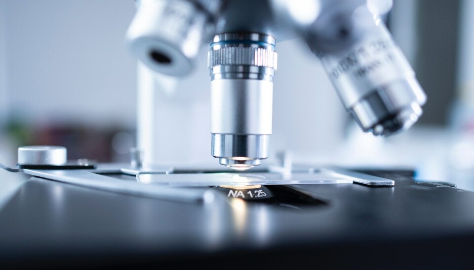 MSD Salud Animal reafirma su compromiso con la ciencia e investigación para la salmonicultura