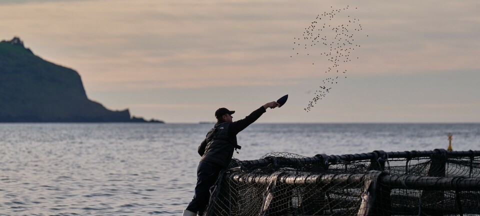 BioMar se asocia con productor de salmón chinook