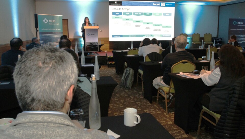 MSD Salud Animal plantea sus estrategias para hacer frente a los piojos de salmón