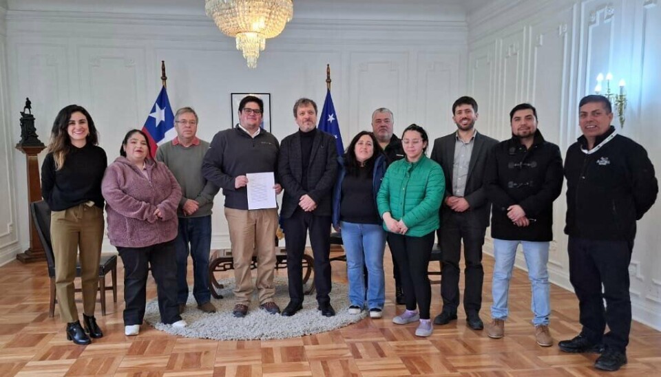 Trabajadores del salmón acusan que Universidad Austral restringe la participación sindical
