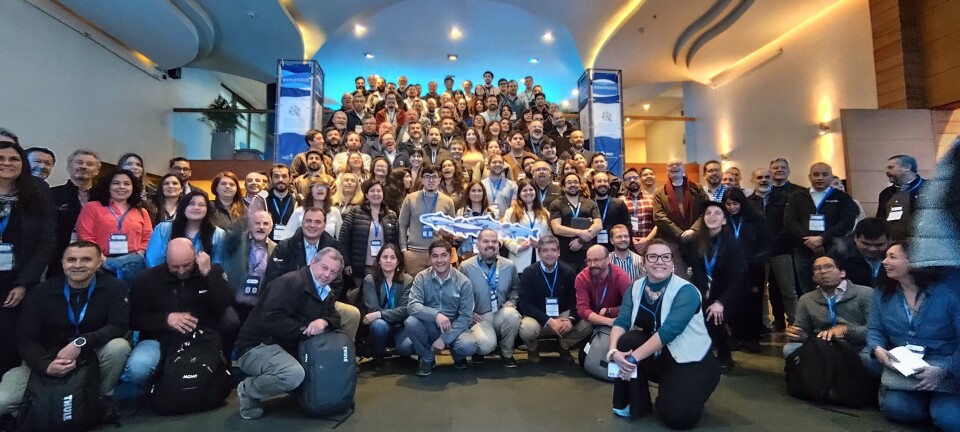 La importancia de cómo proyectar las estrategias para hacer frente a la Caligidosis