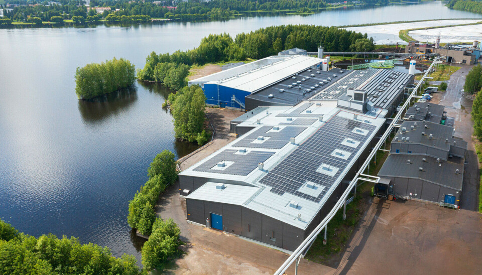 Dueños de Cermaq invierten para crecimiento de productor de trucha en RAS