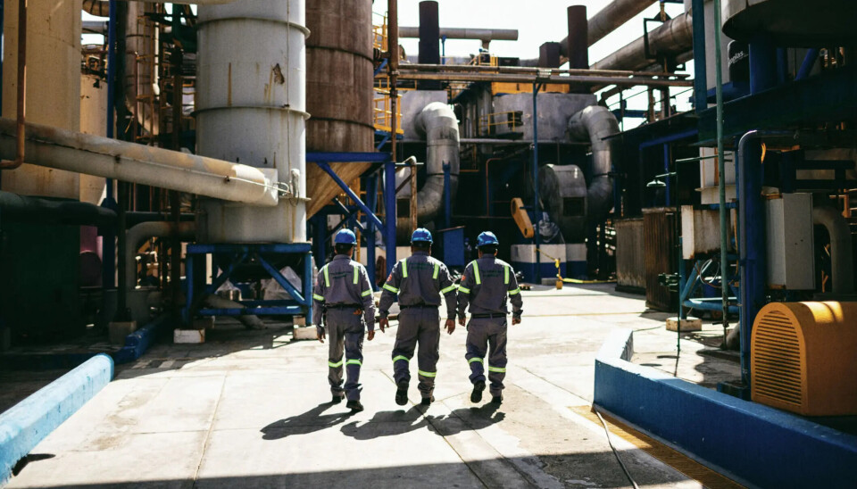 Trabajadores en la planta de Copeinca en Chimbota, Perú.