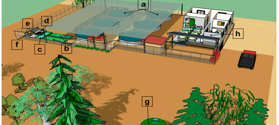 Logran cultivo de truchas a 3.000 metros sobre el nivel del mar