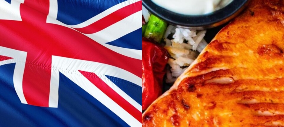 Oposición australiana prohibirá importaciones de salmón chileno si gana las elecciones