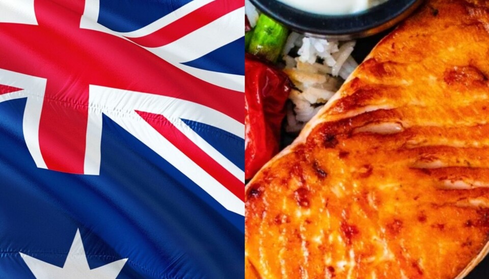 Oposición australiana prohibirá importaciones de salmón chileno si gana las elecciones