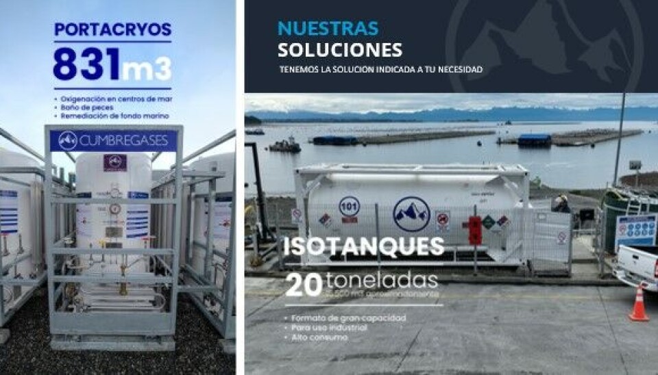 Cumbre Gases amplía sus servicios en Magallanes