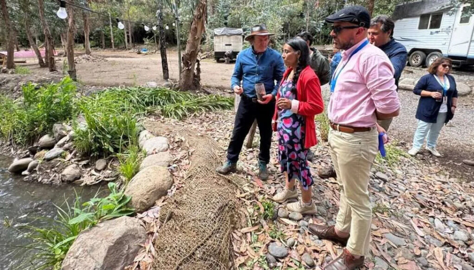 Así avanza el cultivo de truchas en tierra en la Región de O'Higgins