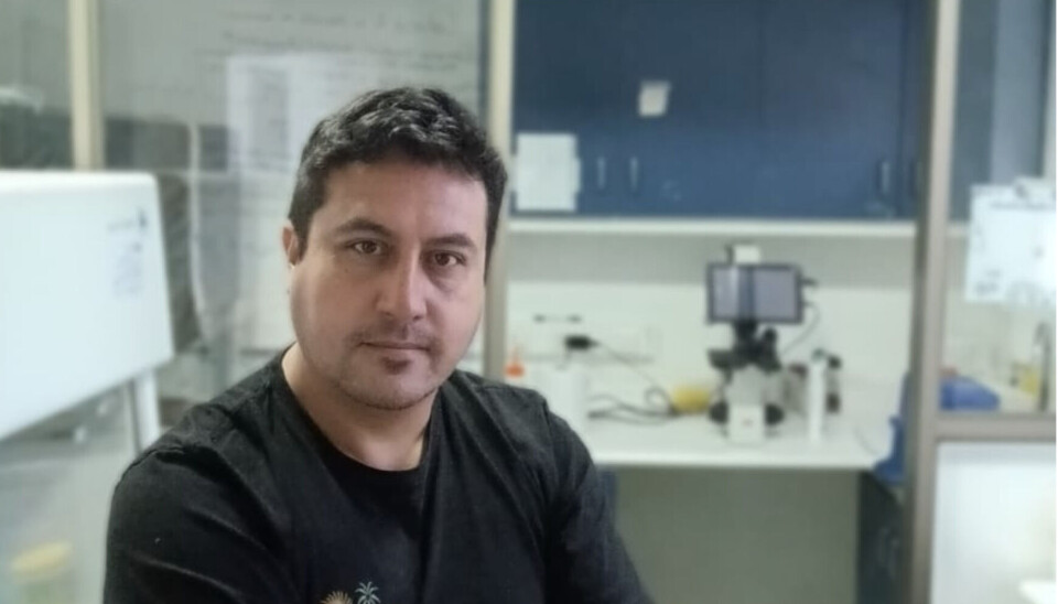 Dr. Rodrigo Pulgar, académico e investigador de la Universidad de Chile.