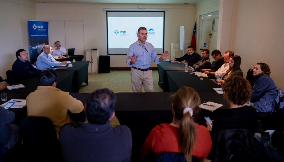 Revisan estrategias para combatir HSMI ante alza de casos en la salmonicultura magallánica