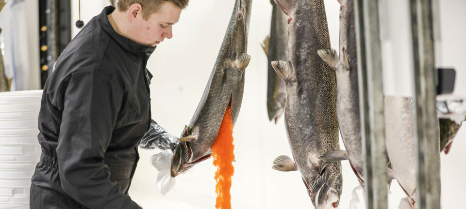 Benchmark vende su división de genética