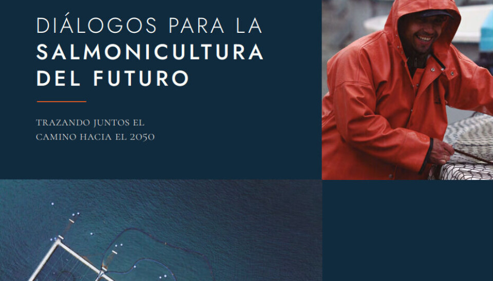 Delinean los principales puntos para proyectar la salmonicultura del futuro