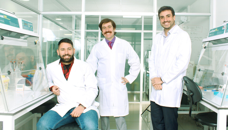 Alejandro Bisquertt; Diego Gutiérrez; Jorge Canales