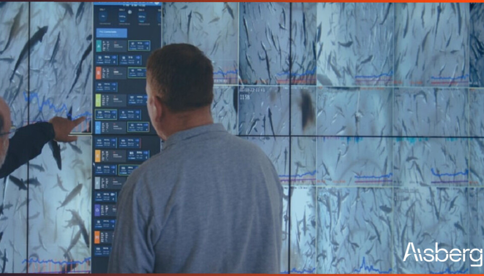 Innovación y tecnología para optimizar el proceso de alimentación