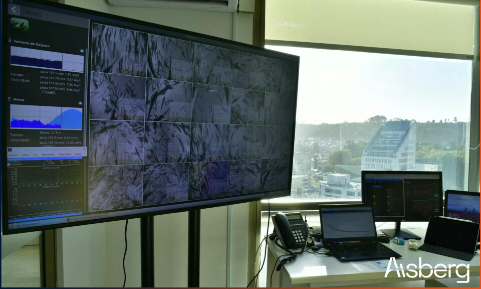 Innovación y tecnología para optimizar el proceso de alimentación