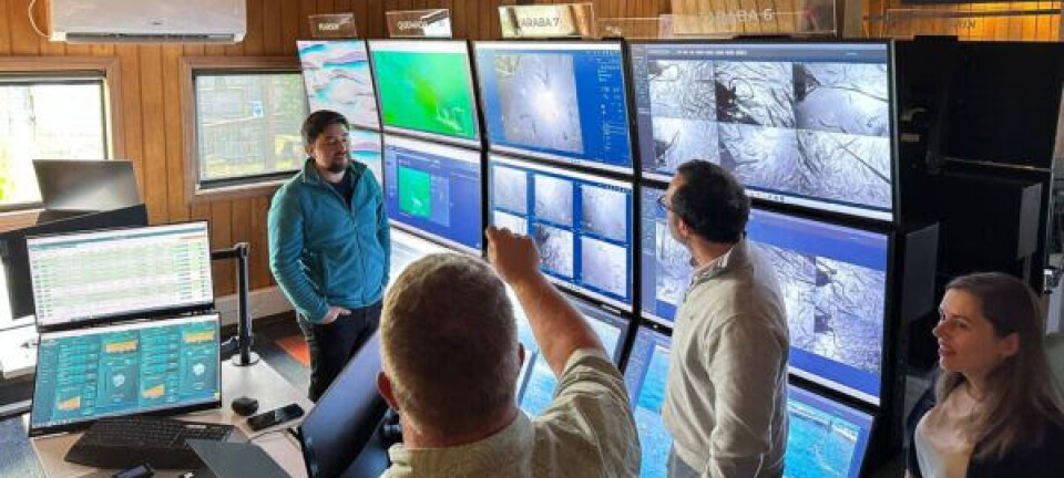 Compradores de salmón visitan Chile y quedan sorprendidos con la alta sostenibilidad