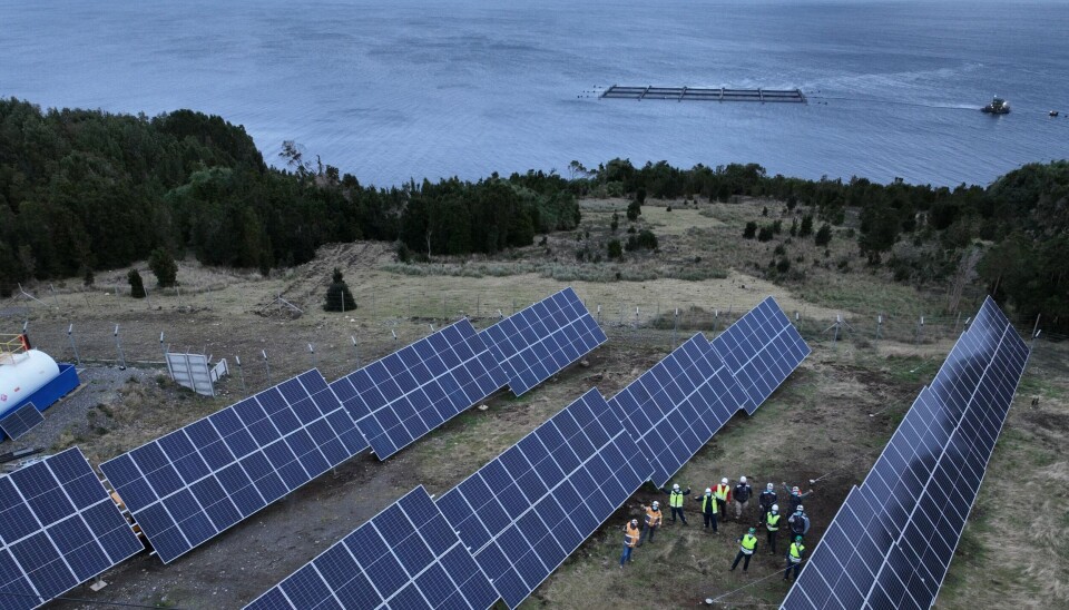 Las trabas existentes para expandir el uso de energías limpias en la salmonicultura