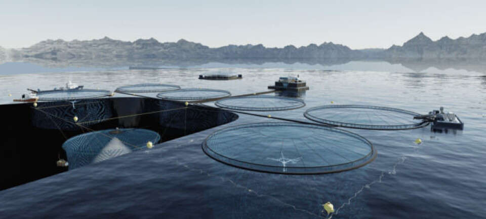 Smir firma contrato con Nova Sea para sistemas de jaulas sumergibles
