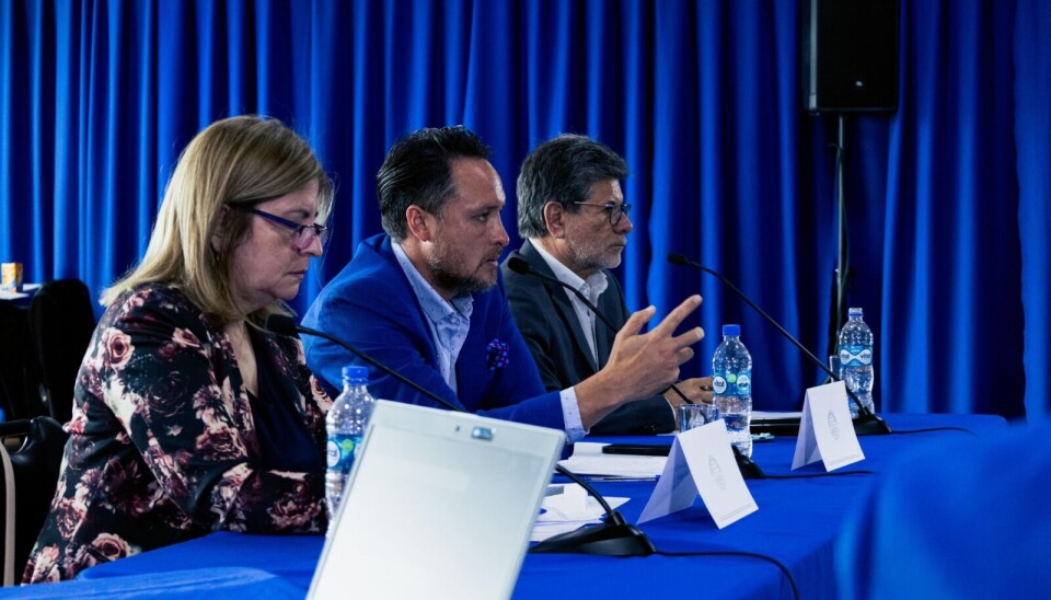 Foto: Ilustre Municipalidad de Puerto Montt.