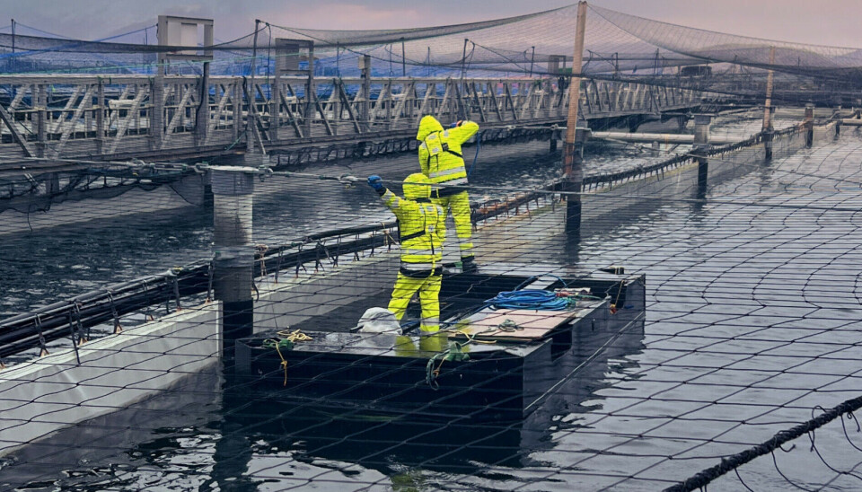 Centro para 16.000 toneladas de salmones reporta retrasos en sus trabajos