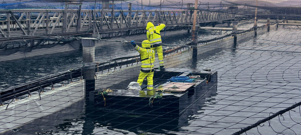Centro para 16.000 toneladas de salmones reporta retrasos en sus trabajos