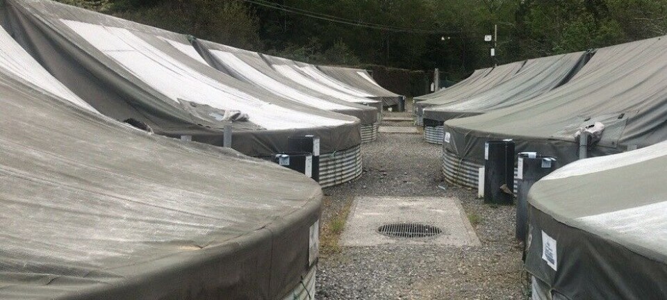 Afirman que Corte Suprema no ha prohibido operación de piscicultura Chesque Alto