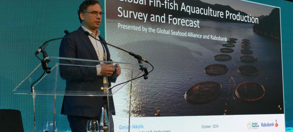 Se prevé un crecimiento modesto del suministro mundial de salmón