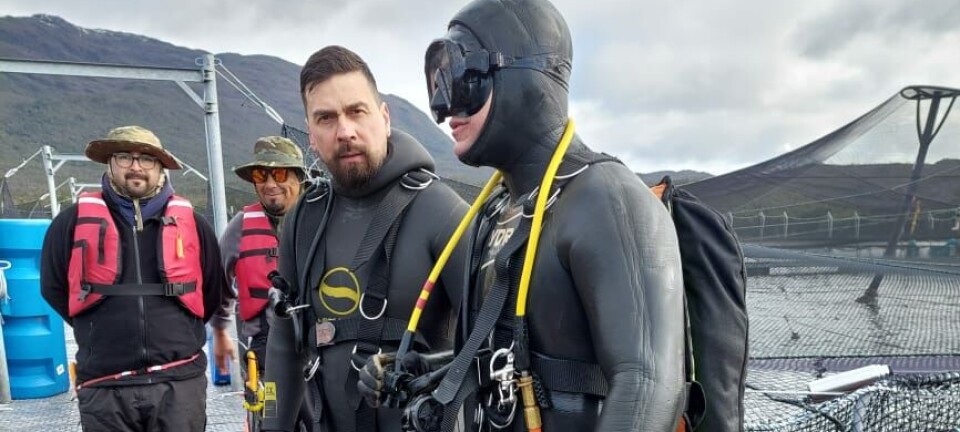 Australis Seafoods eleva el estándar en seguridad y bienestar de los buzos
