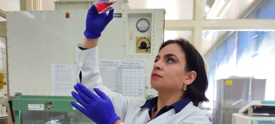 “Podríamos proponer si el uso de antibióticos es la mejor opción”