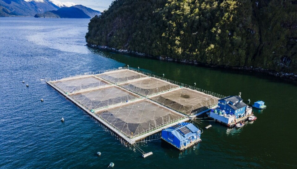 Centro de cultivo de Cooke Chile.