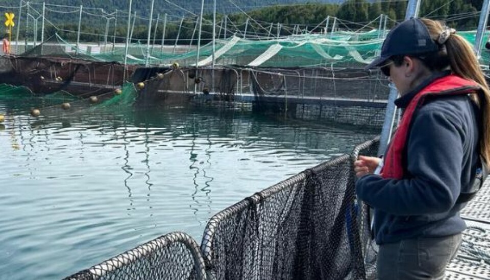 Sancionan a piscicultura al pago de una multa por reincidencia en faltas a la normativa vigente