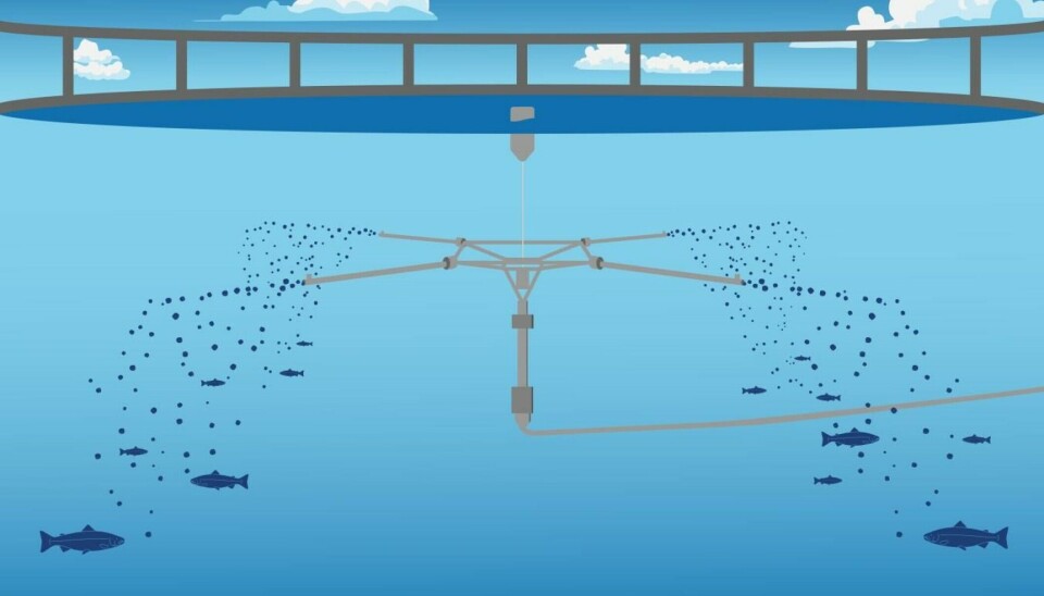 Lanzan nuevos desarrollos para instalaciones salmonicultoras con alimentación por agua