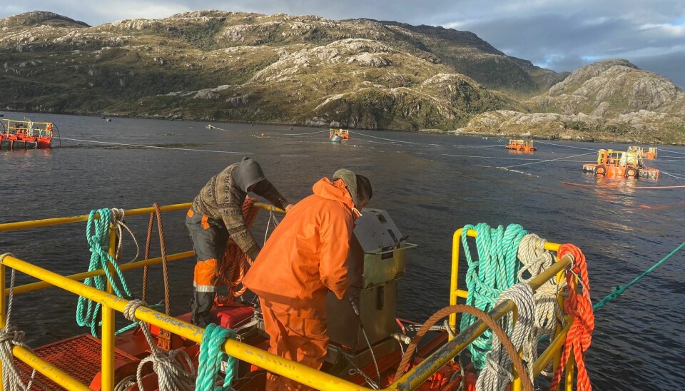 Innovadora técnica permite la recuperación de un nuevo centro de Australis Seafoods