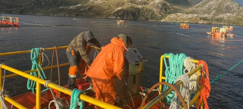 Innovadora técnica permite la recuperación de un nuevo centro de Australis Seafoods