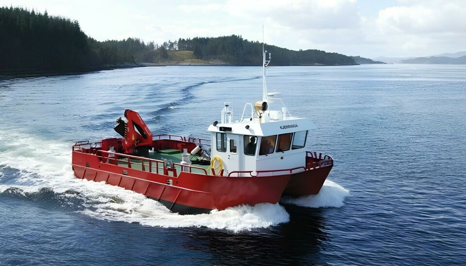 Se hunde barco de trabajo de salmonicultora