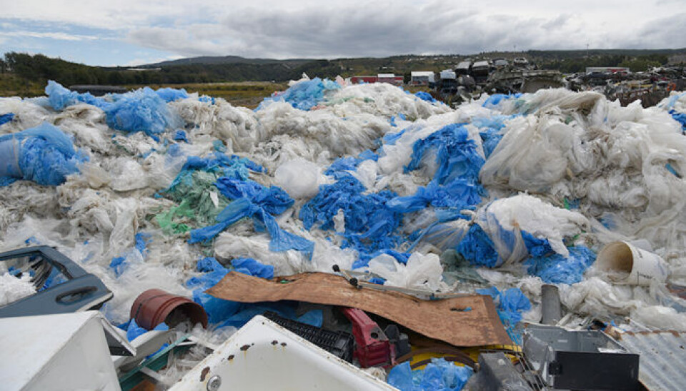 Foto: La Prensa Austral.