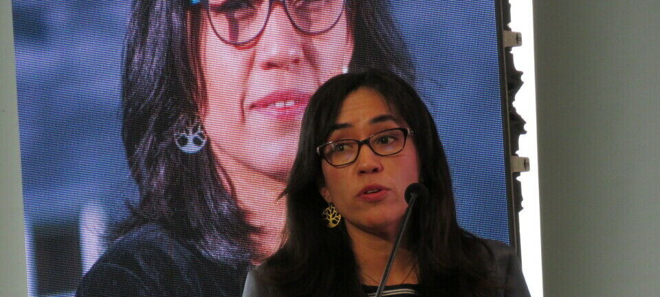 Abrirán debate clave: la relación entre iluminación artificial y bienestar de los peces