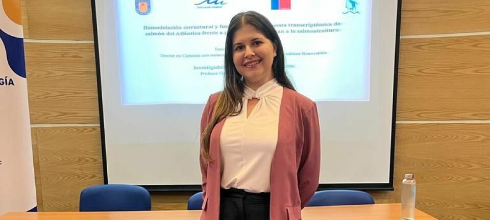 Biomarcadores celulares para Piscirickettsia: 'será posible desarrollar tratamientos más efectivos”