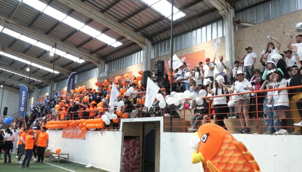 Miles de personas celebraron el Día del Trabajador Salmonero en Quellón