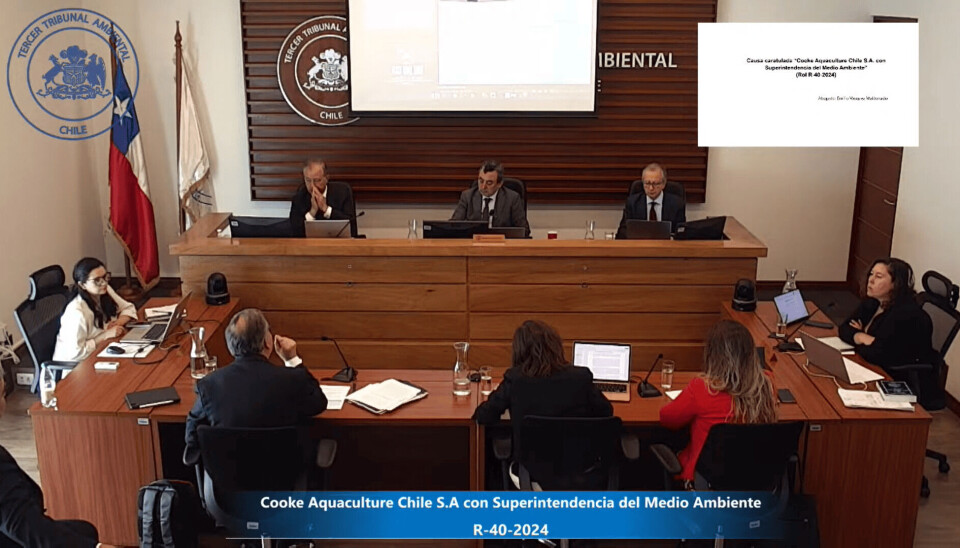 La cruzada para desparalizar las siembras de salmones en el centro Huillines 3