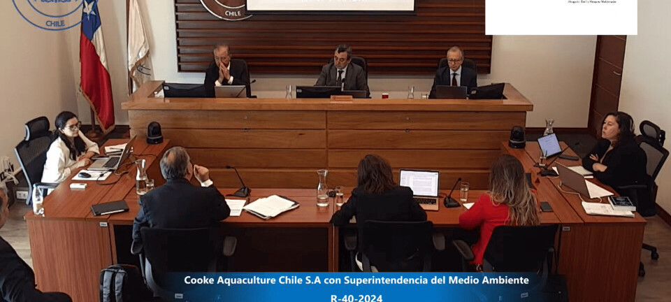 La cruzada para desparalizar las siembras de salmones en el centro Huillines 3