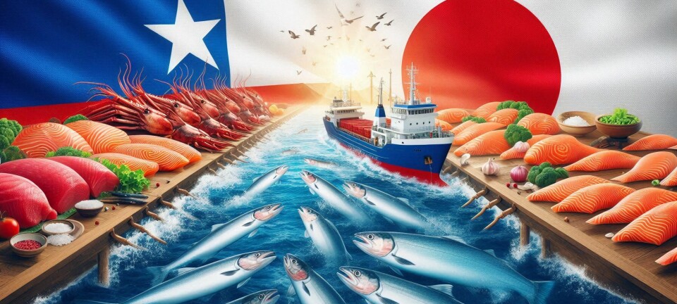 Chile y la acuicultura en Japón: oportunidades y desafíos en un mercado de alto valor