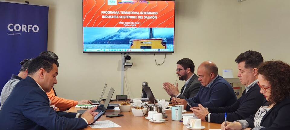 Buena noticia: Aprueban programa territorial que impulsa la salmonicultura sostenible