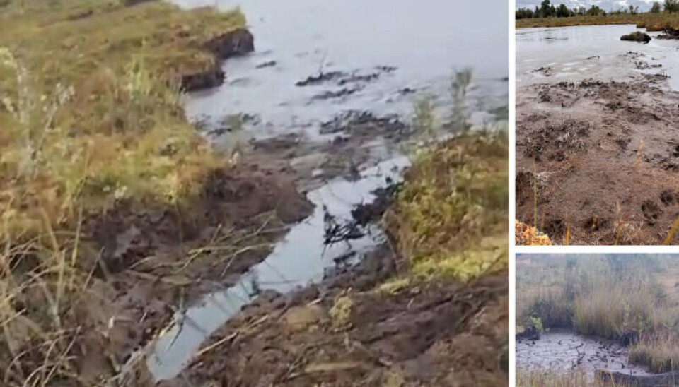 Imágenes: Comunidad Lago Siete Islas.