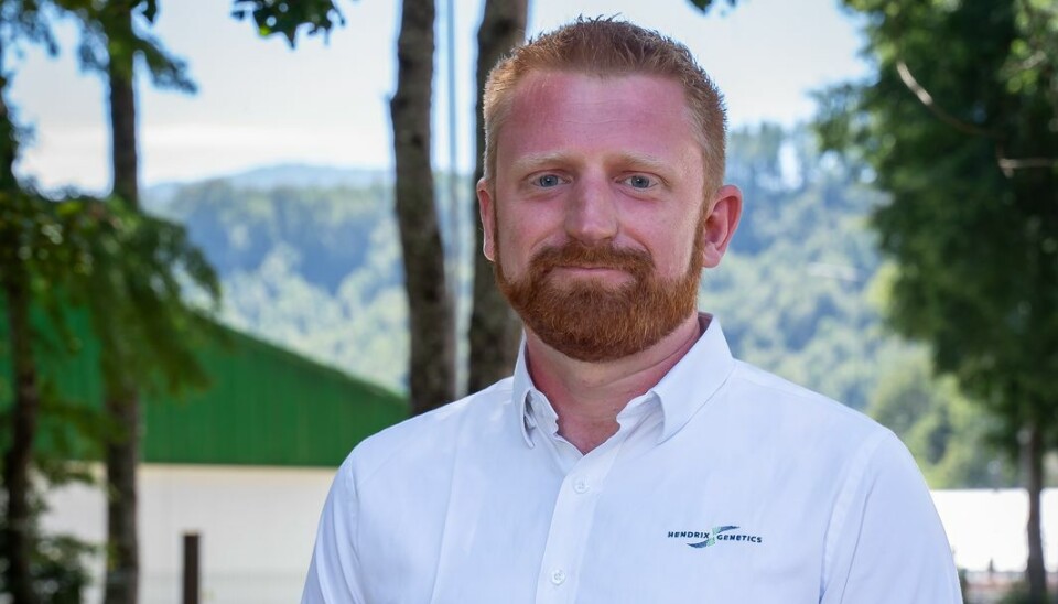Foto: Hendrix Genetics Chile.