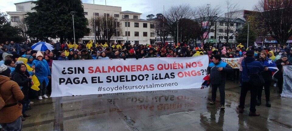 ¿Están las ONG influenciando a entidades fiscalizadoras contra la salmonicultura?