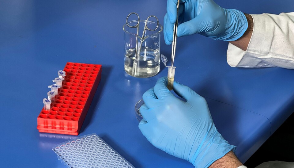 Universidad de Chile impulsa inédito debate sobre edición de genes en acuicultura