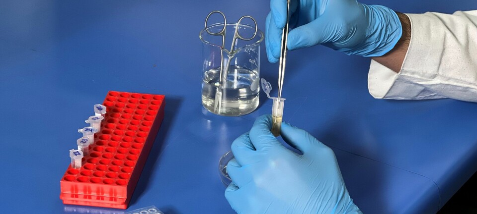 Universidad de Chile impulsa inédito debate sobre edición de genes en acuicultura