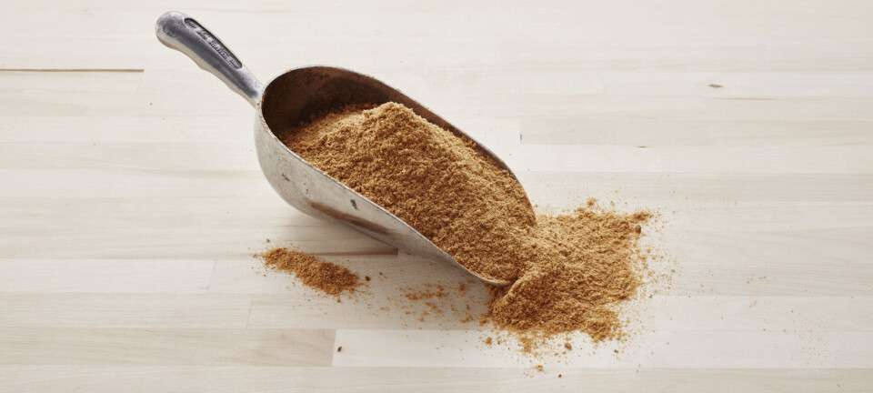 Nuevos ingredientes sustentables para alimentación de salmones ganan terreno y alcanzan récord